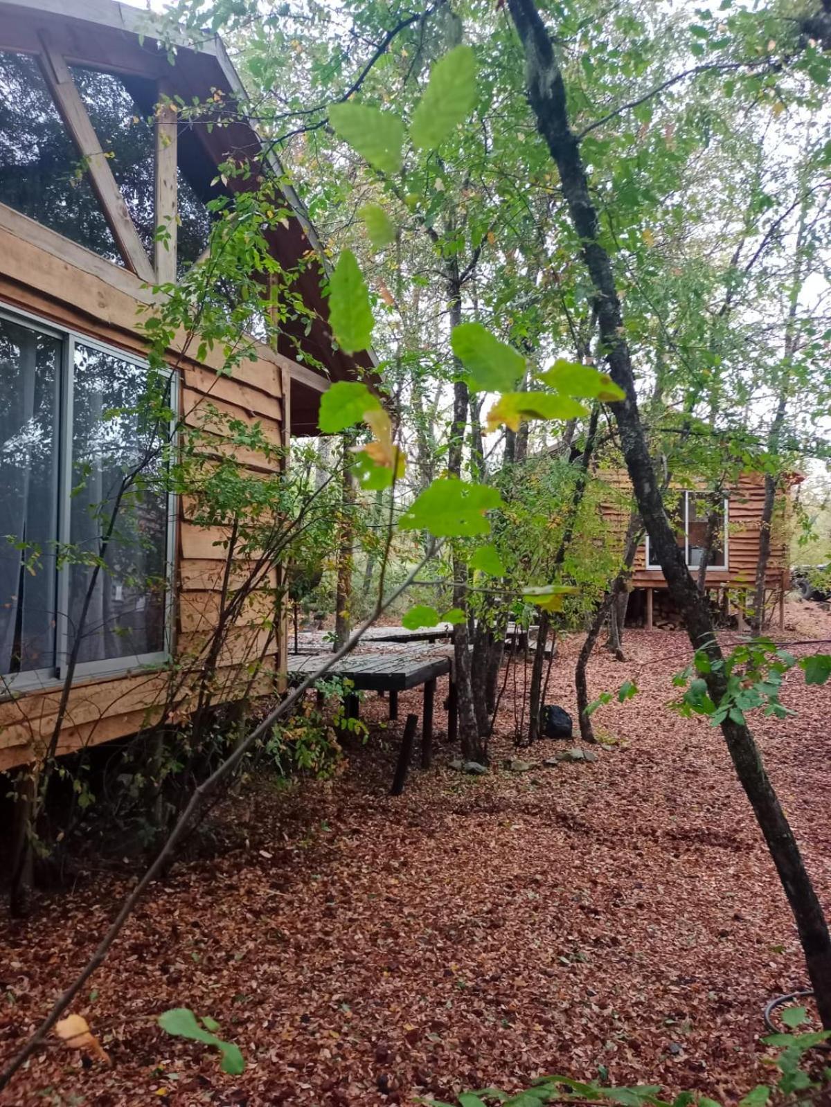 Cabanas Huilipan Las Trancas Exteriér fotografie