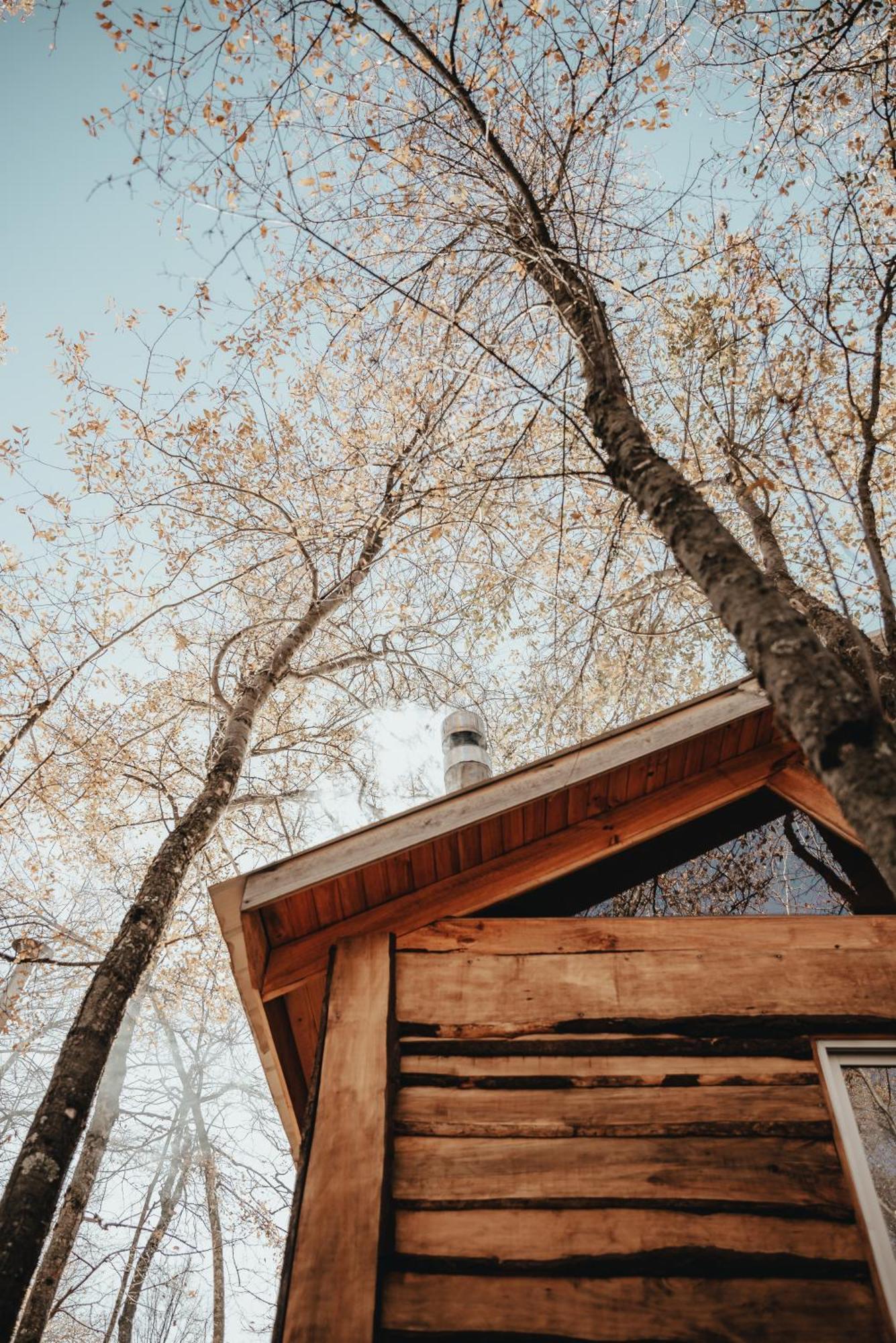 Cabanas Huilipan Las Trancas Exteriér fotografie