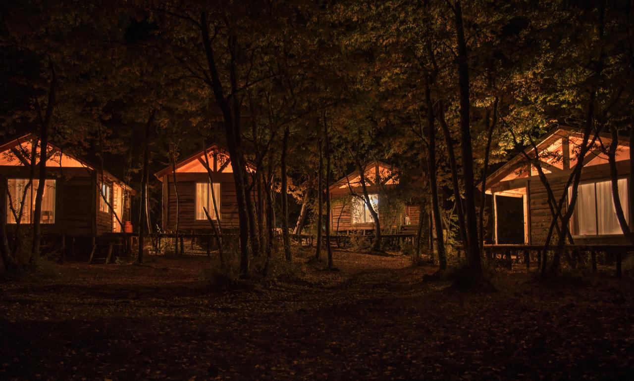 Cabanas Huilipan Las Trancas Exteriér fotografie